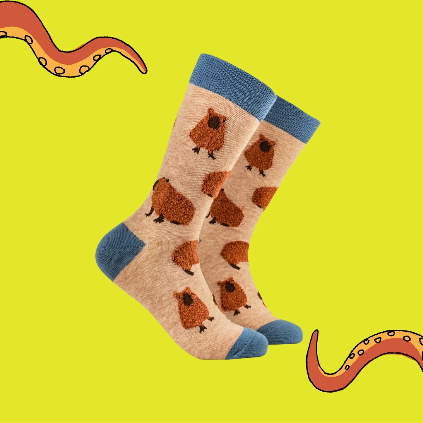 Sokken Fluffy Capybara (37-42) - Soctopus