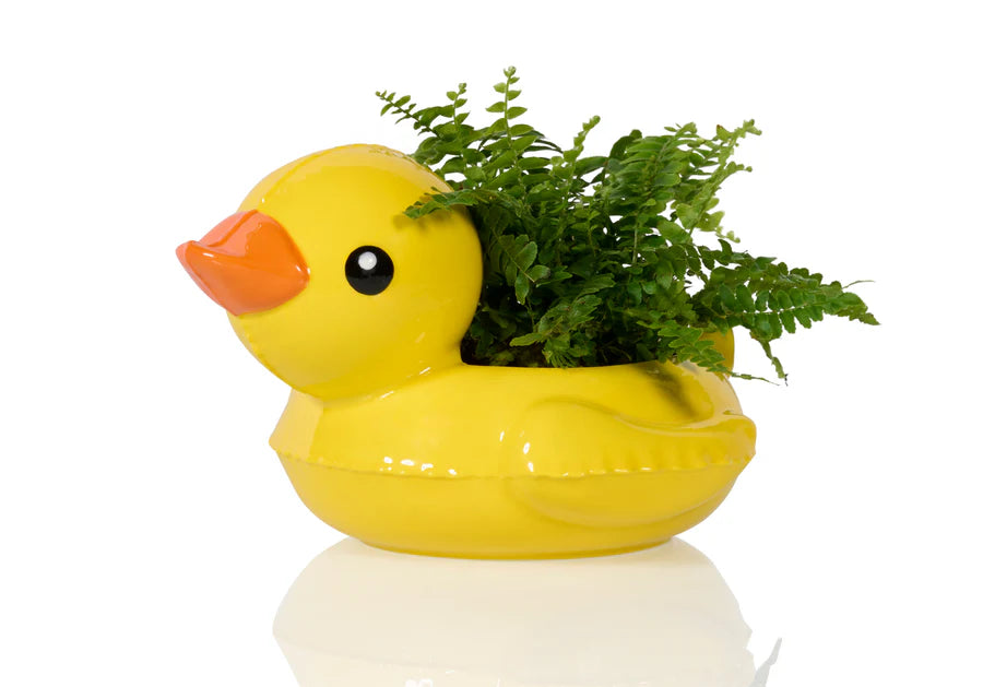 Pot Floaty Duck - Bitten