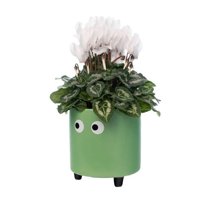 Plant pot Eyes Green - Fisura