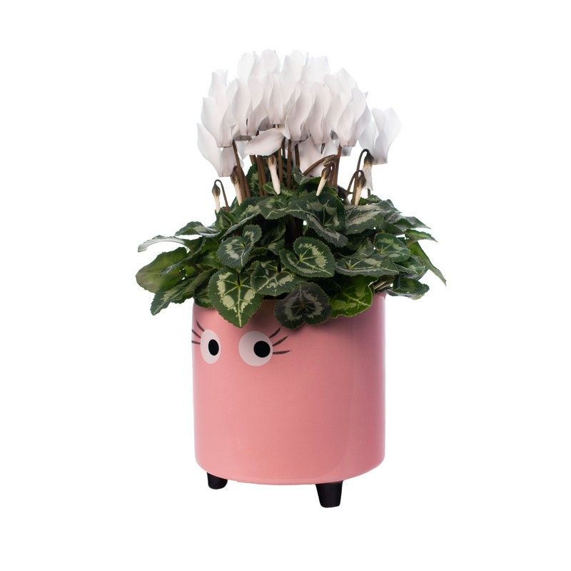 Plant pot Eyes Pink - Fisura