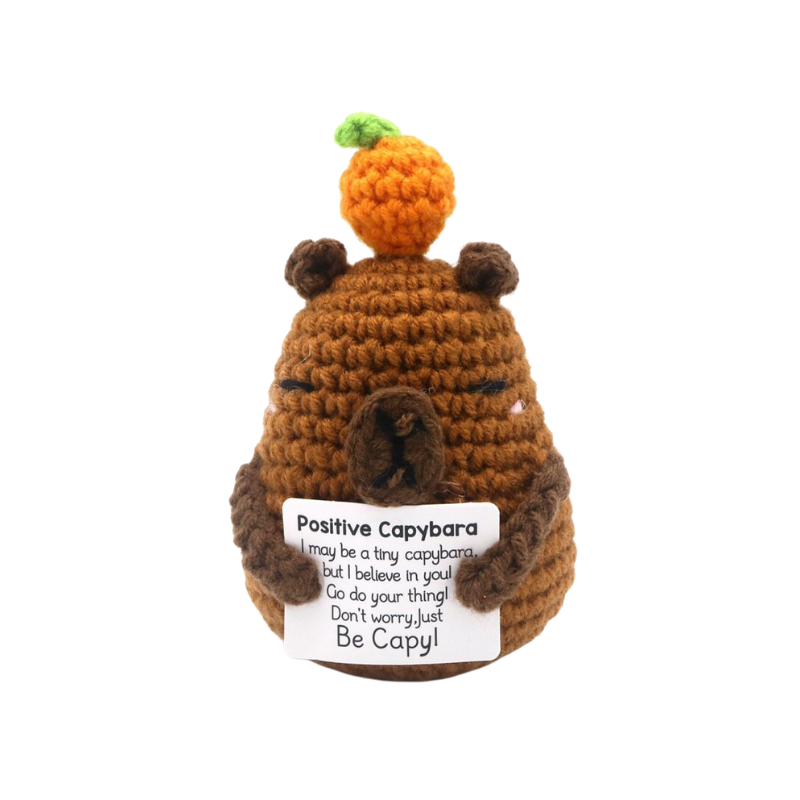 Geluksknuffeltje Positive Capybara