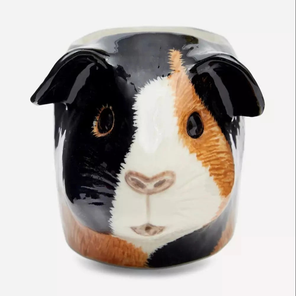 Eierdop Cavia - Quail
