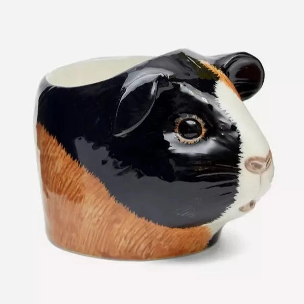 Eierdop Cavia - Quail
