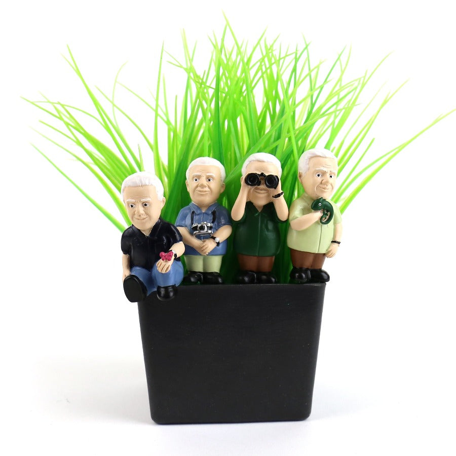 Plant decoration Attenborough Explorers - Gift Republic