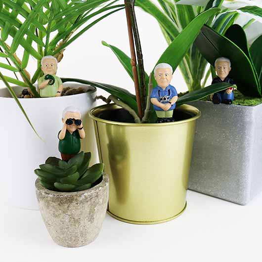 Plant decoration Attenborough Explorers - Gift Republic
