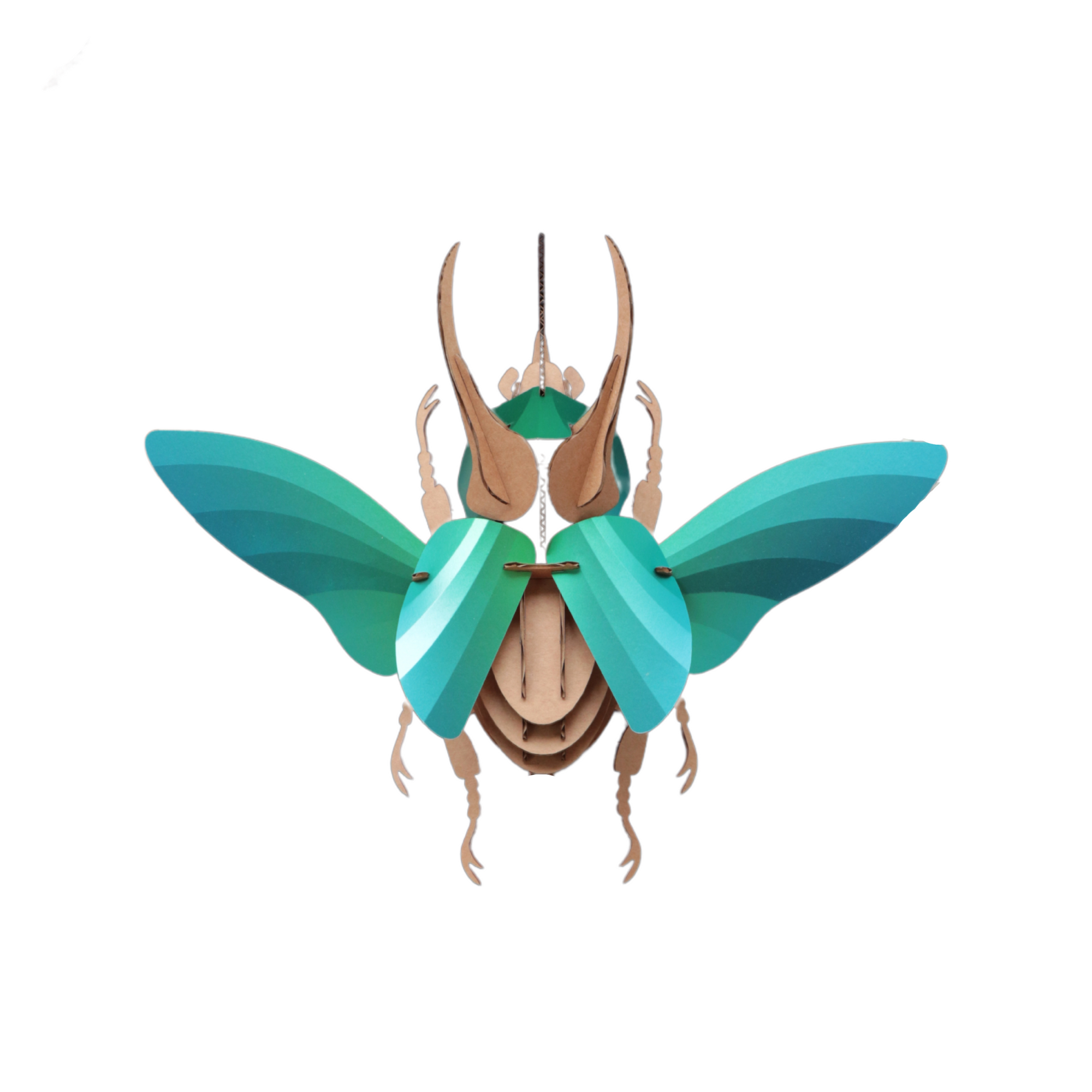 Papieratlas Beetle Premium - Assembler