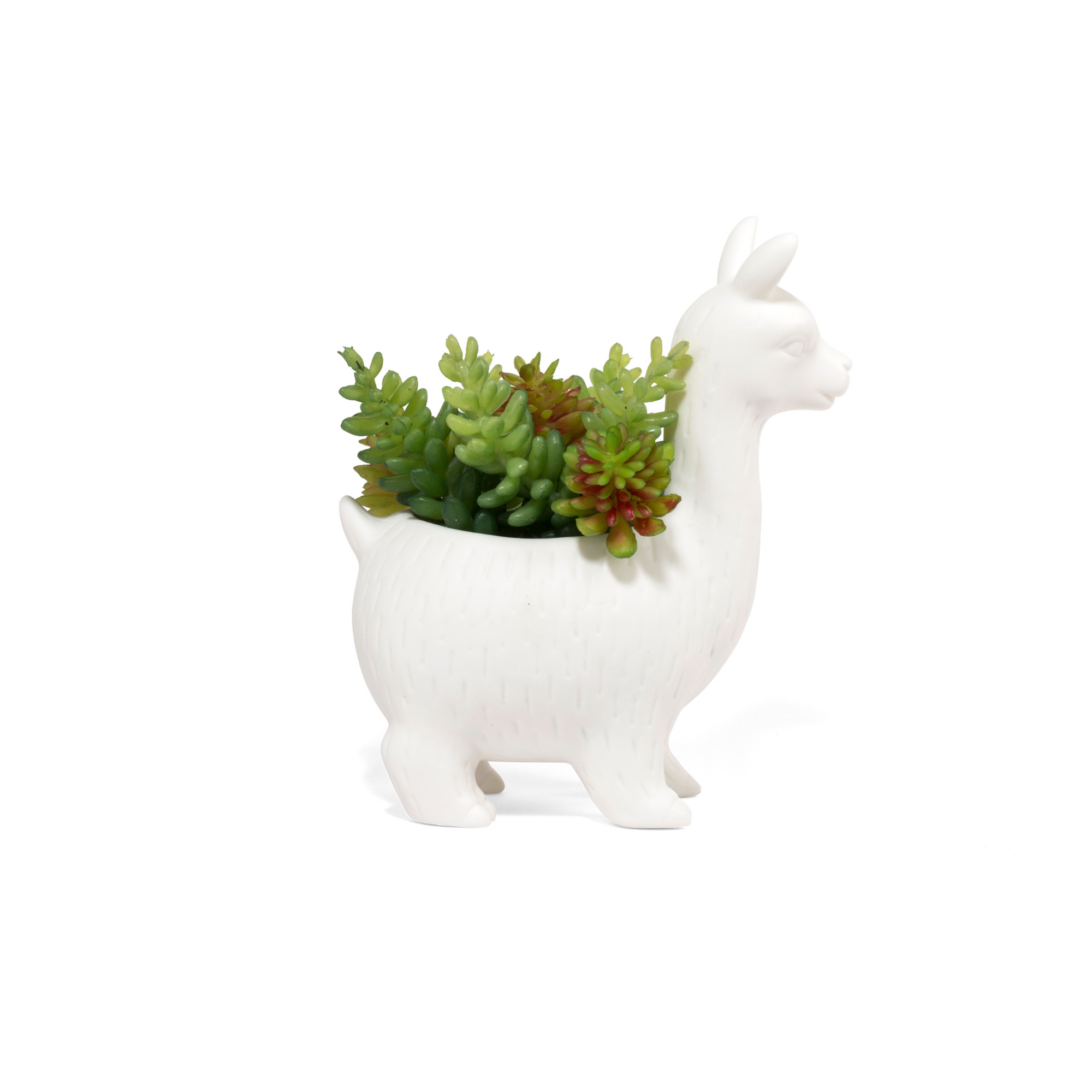 Plantenpot Lama - Kikkerland