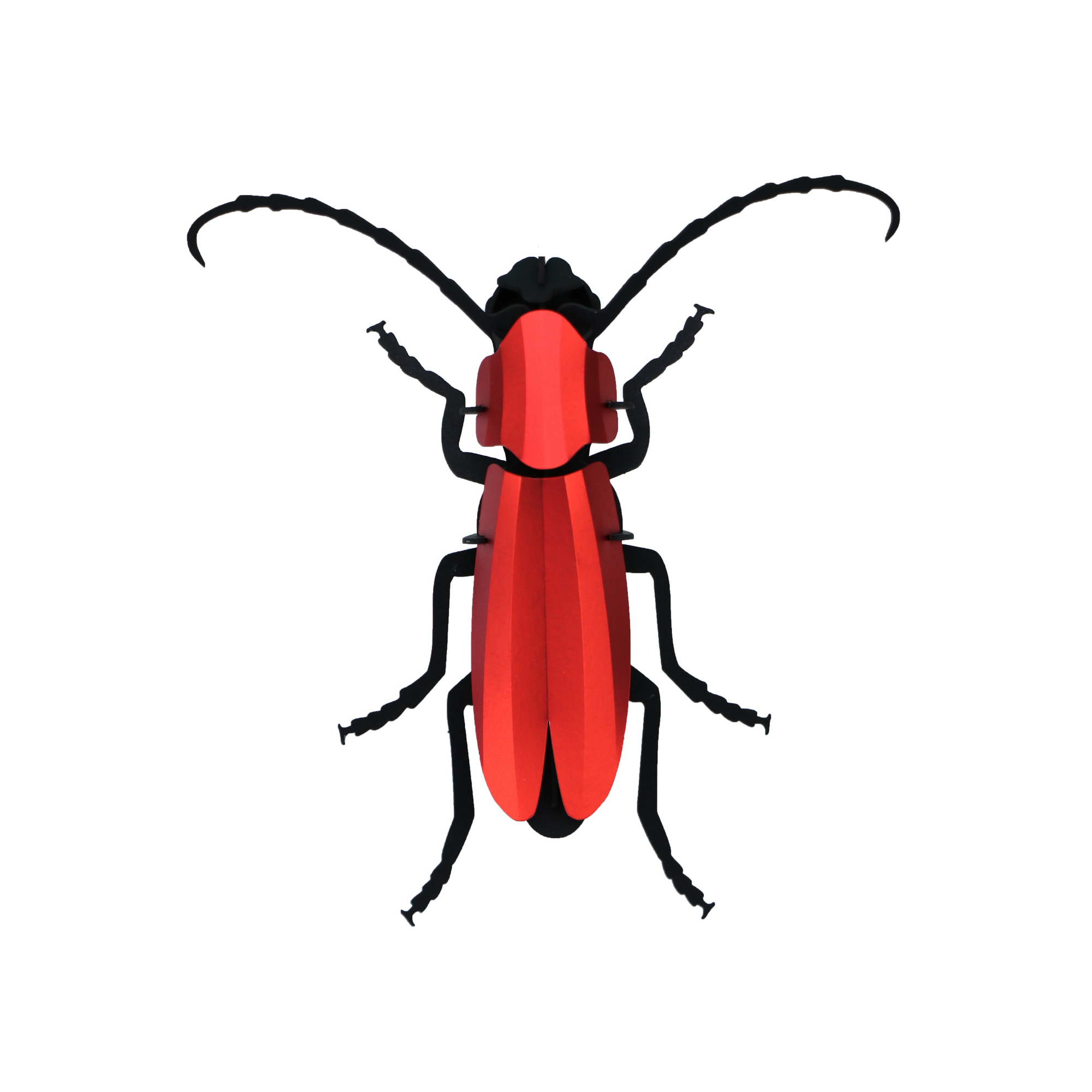 Paper Rosalia Beetle - Assembli