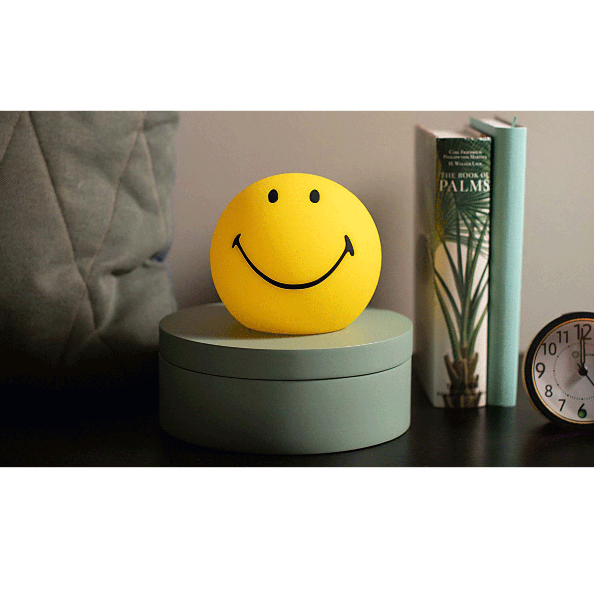 Light Smiley Mini - Mr. Mary