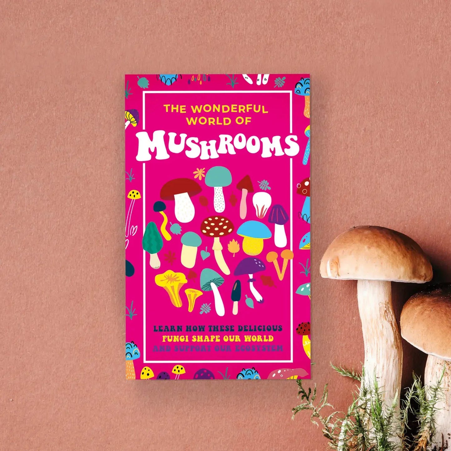 The Wonderful World of Mushrooms Cards - Gift Republic