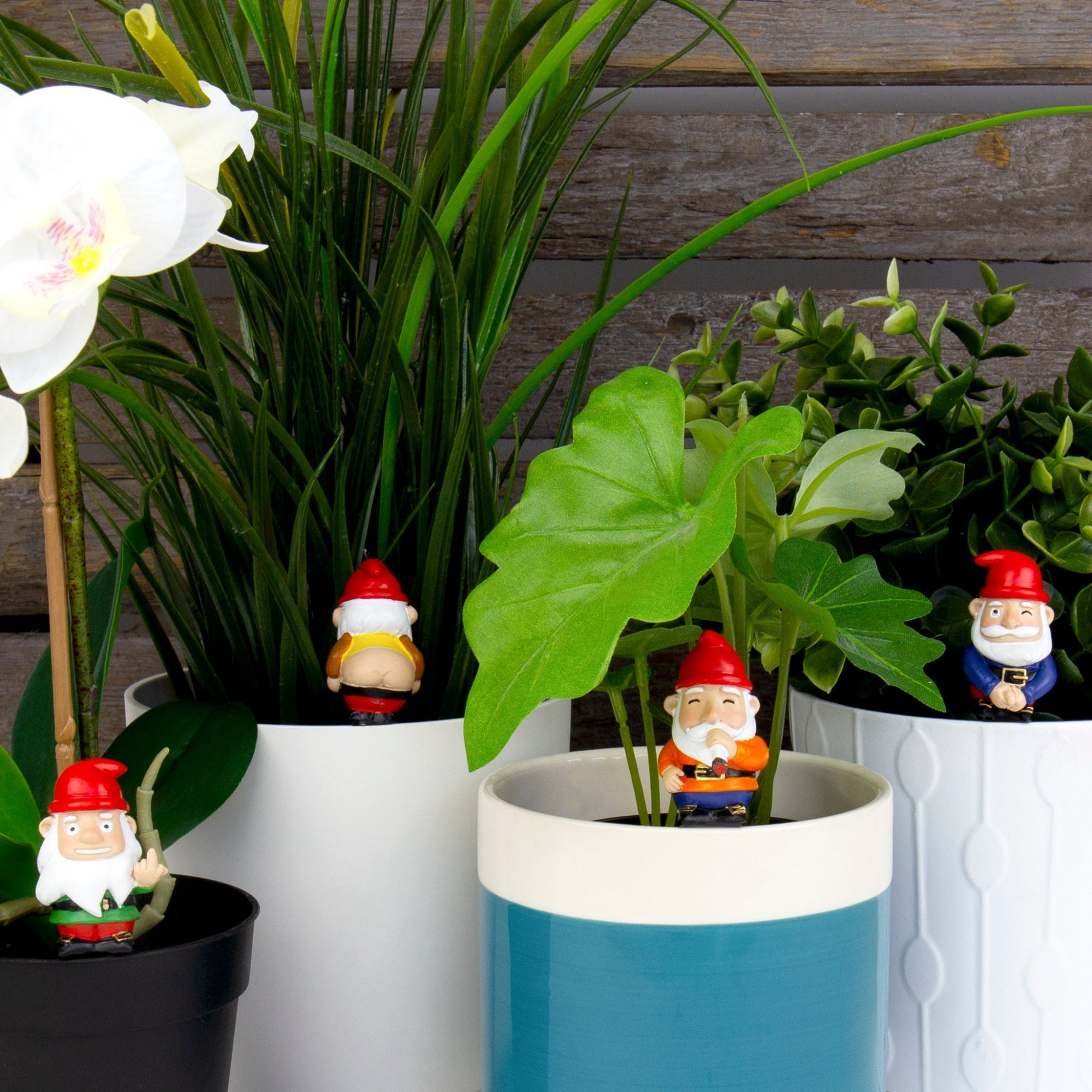 Plantdecoratie Naughty Gnomes - Gift Republic