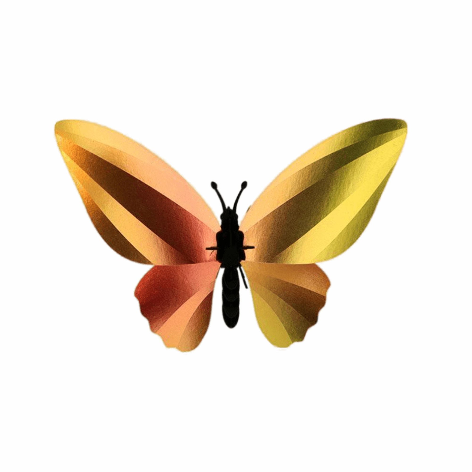 Papieren Birdwing Vlinder - Assembli