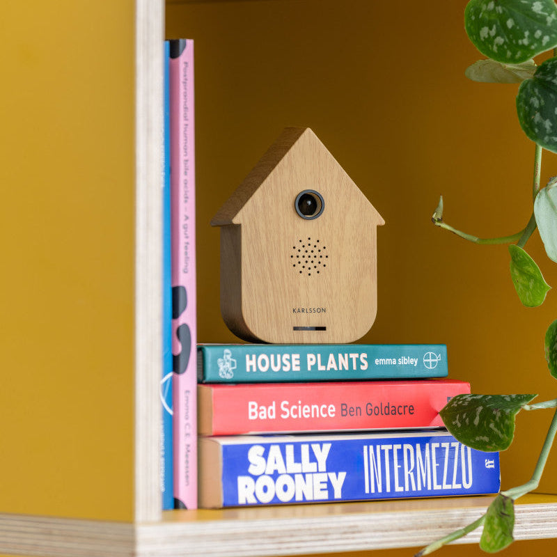 Resonanzkörper Kuckuck helles Holz