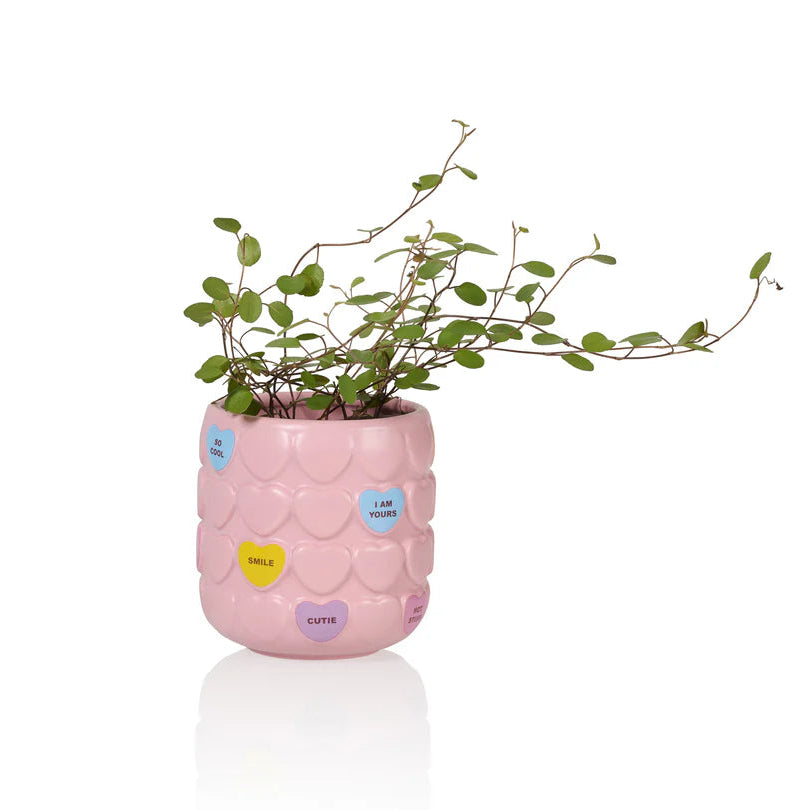 Mok Sweet Heart Pink - Bitten