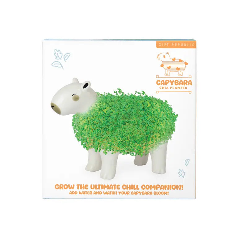 Plantenpot Capibara Chia – Gift Republic