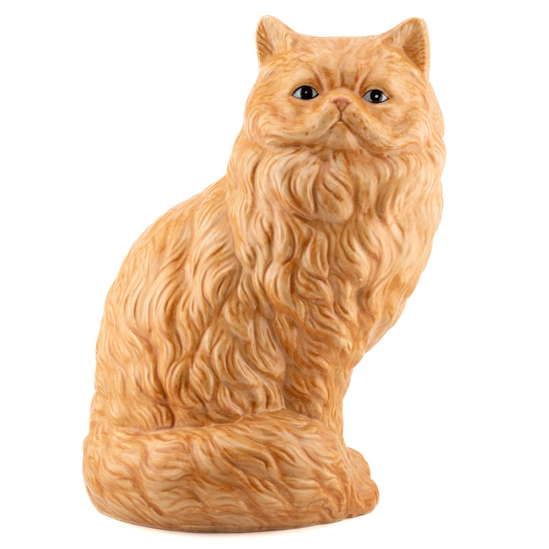 Vaas Kat Rood - HomeBound