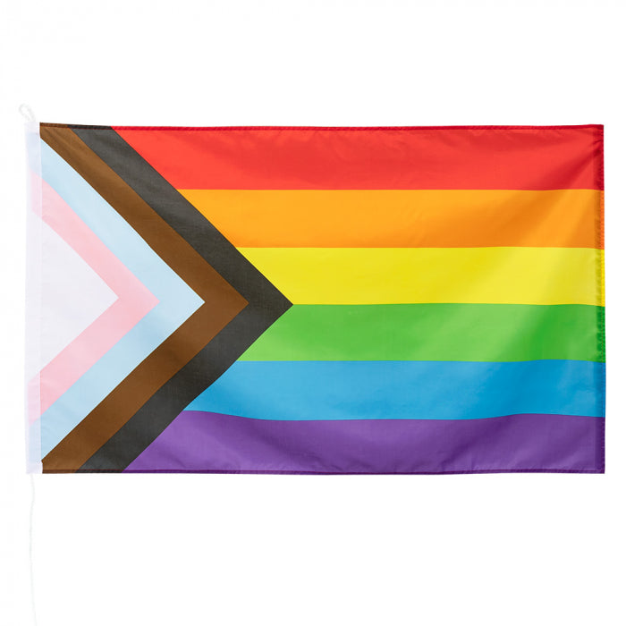 Flag Rainbow Progress 