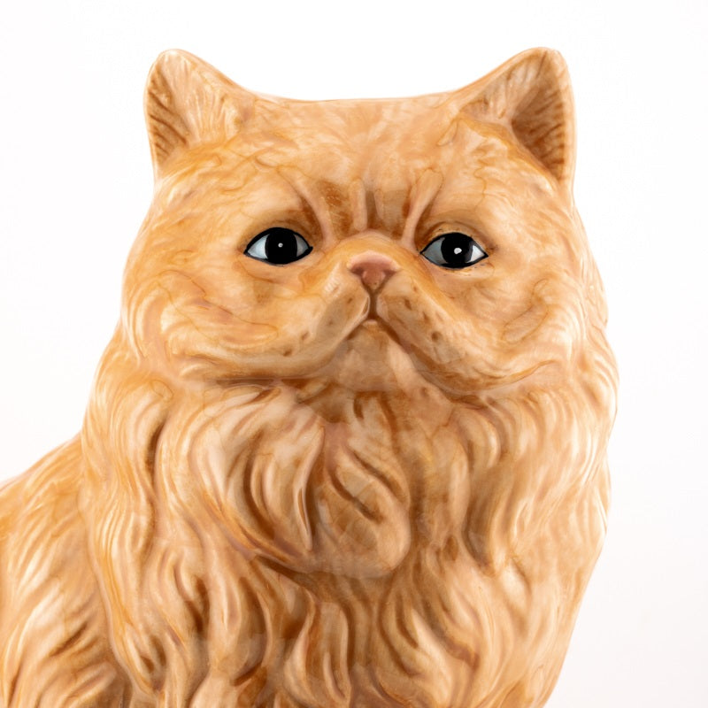 Vaas Kat Rood - HomeBound