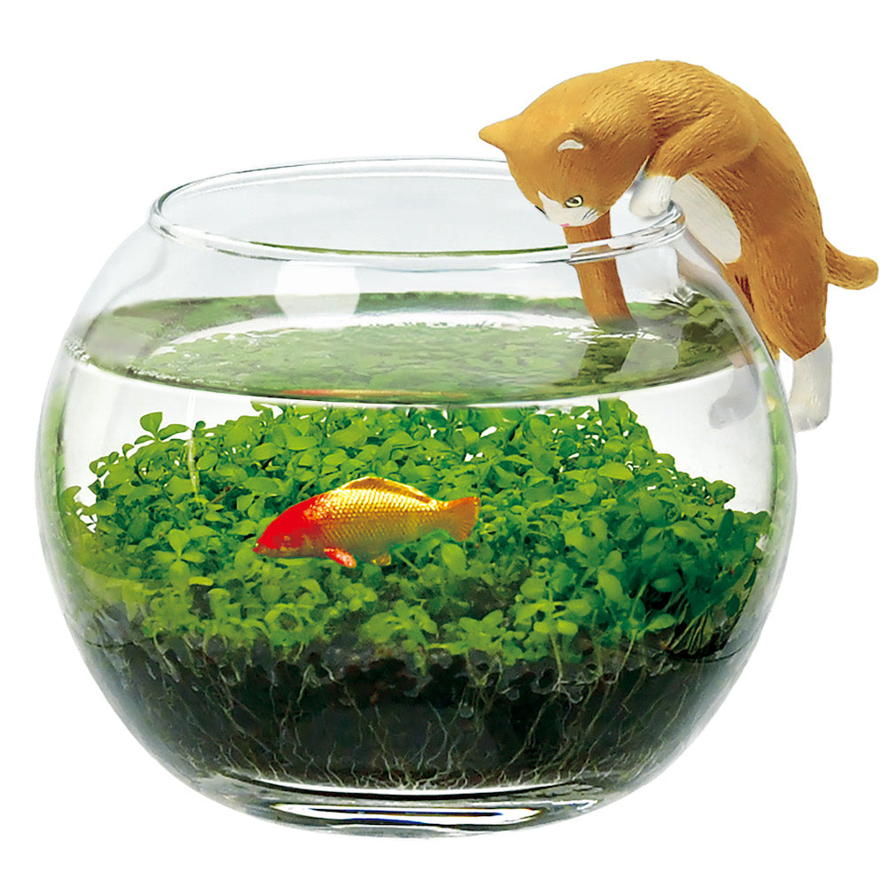 Waterplant Terrarium - Noted