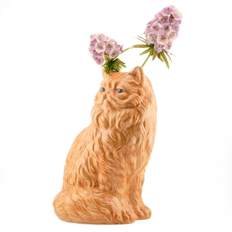 Vaas Kat Rood - HomeBound