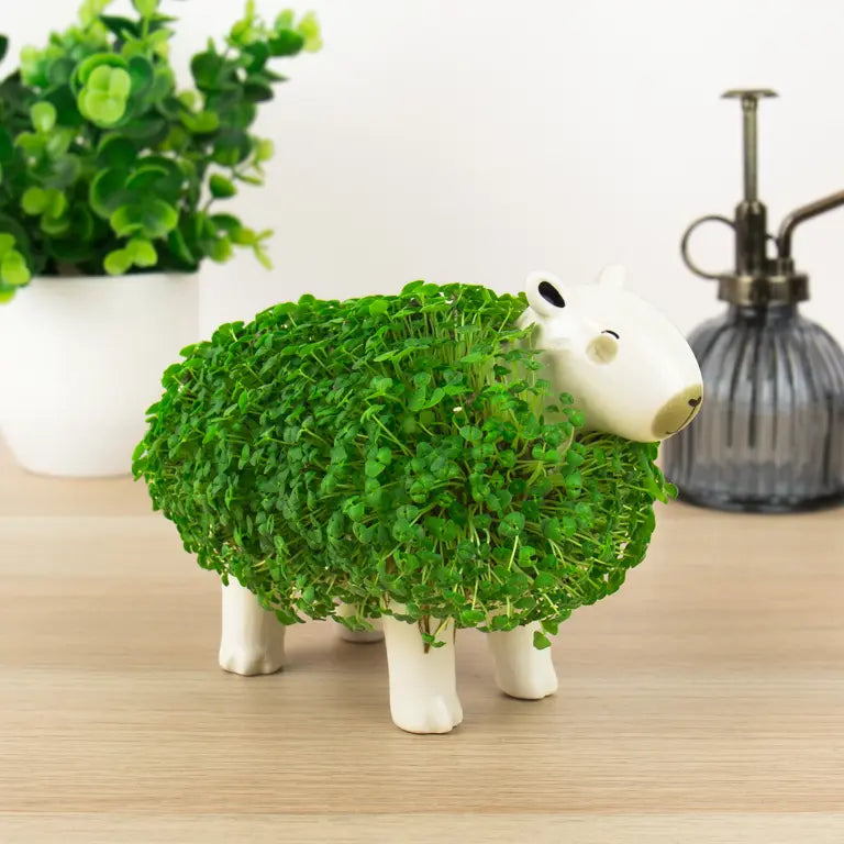 Plantenpot Capibara Chia – Gift Republic