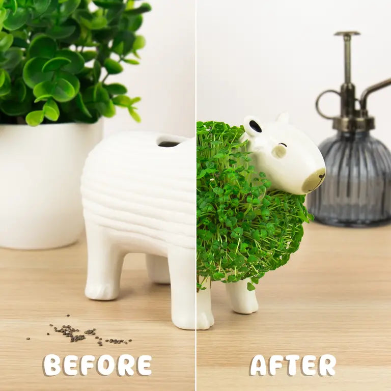 Plantenpot Capibara Chia – Gift Republic