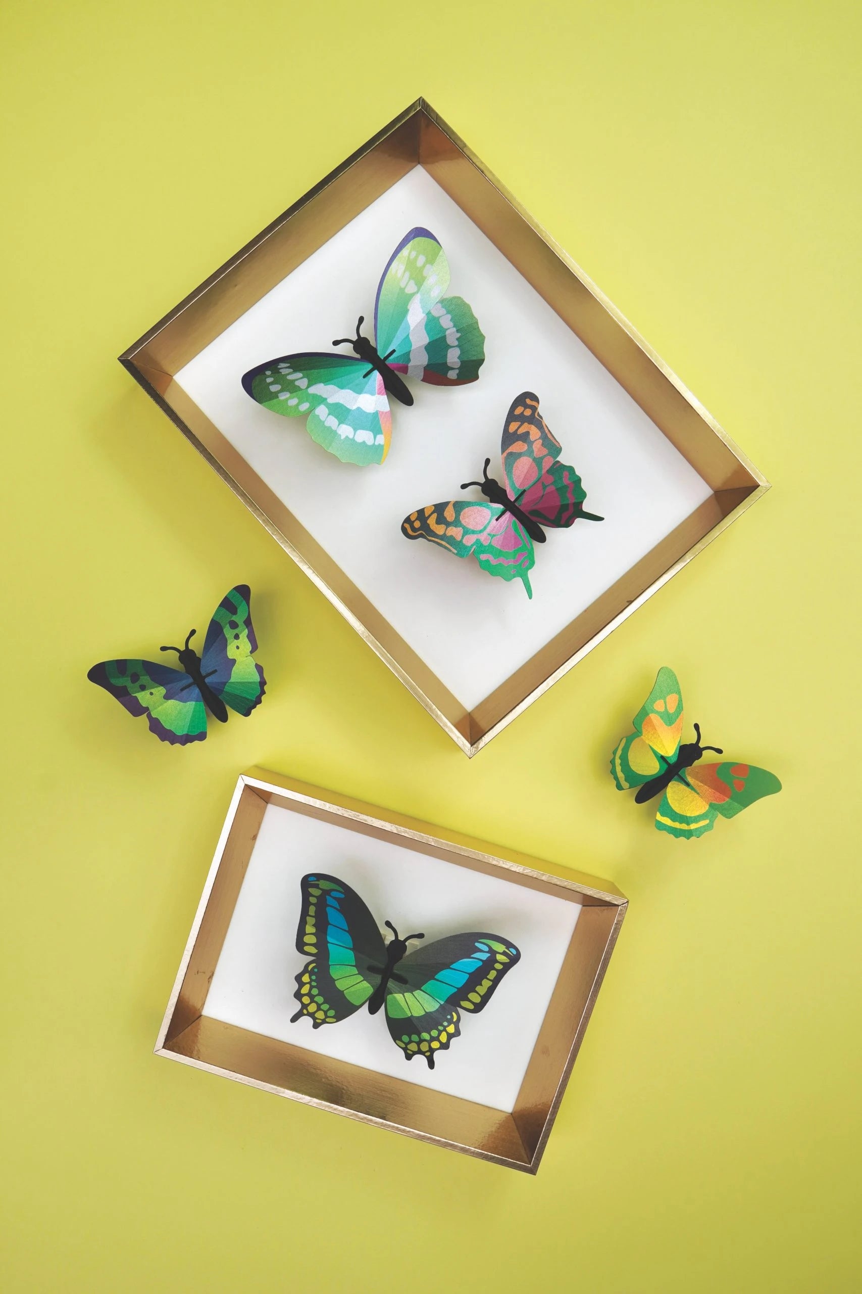 Paper Butterfly Collection Green - Assembli