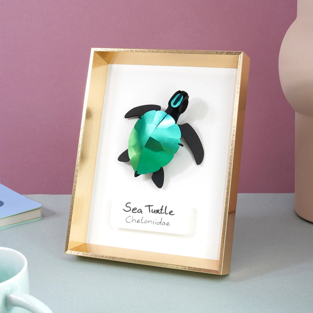 Sea Turtle Baby Caribbean Green Paper
