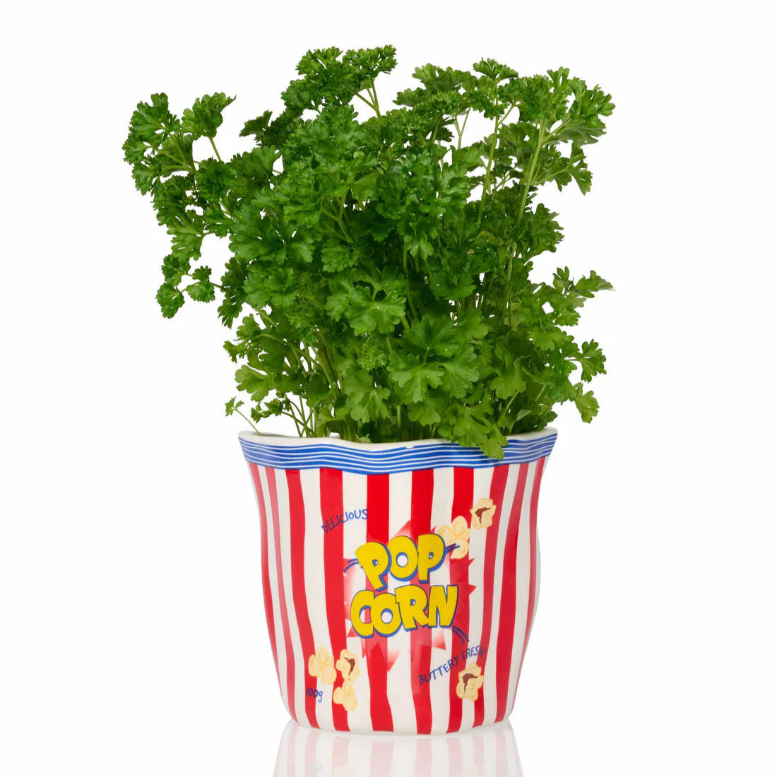 Pot Popcorn - Bitten