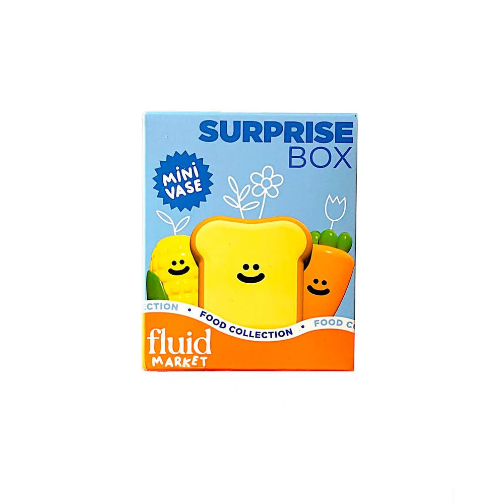 Mini Vaas Suprise Box - Fluid