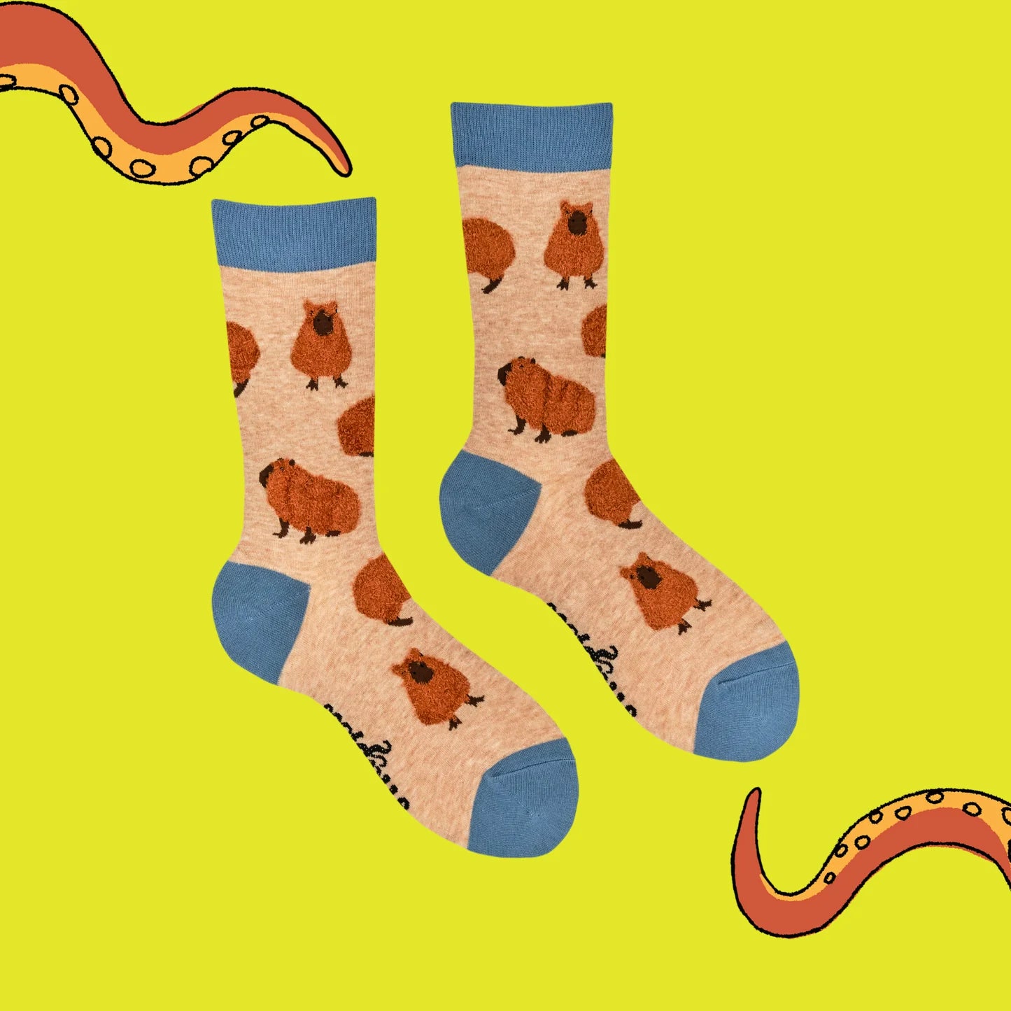 Sokken Fluffy Capybara (37-42) - Soctopus