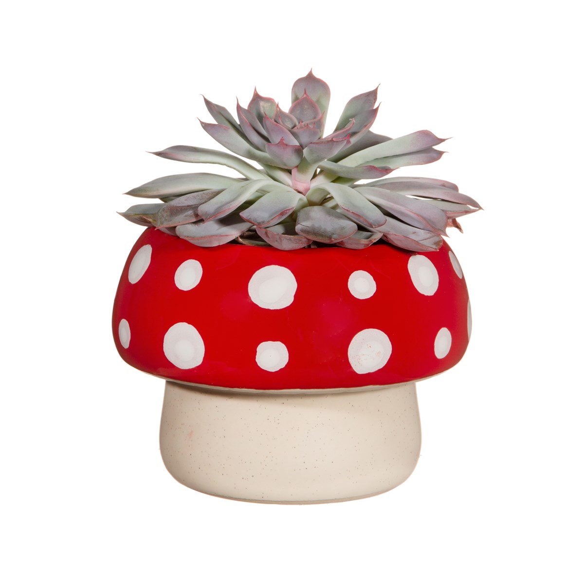 Plant Pot Mushroom - Sass &amp; Belle 