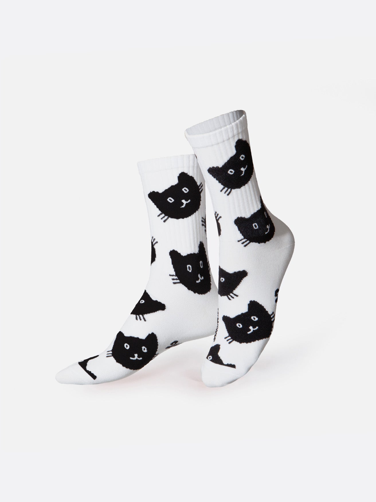 Socks Cat – Eat My Socks