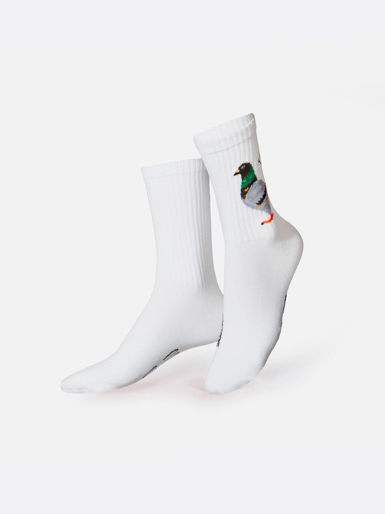 Socks Dove – Eat My Socks
