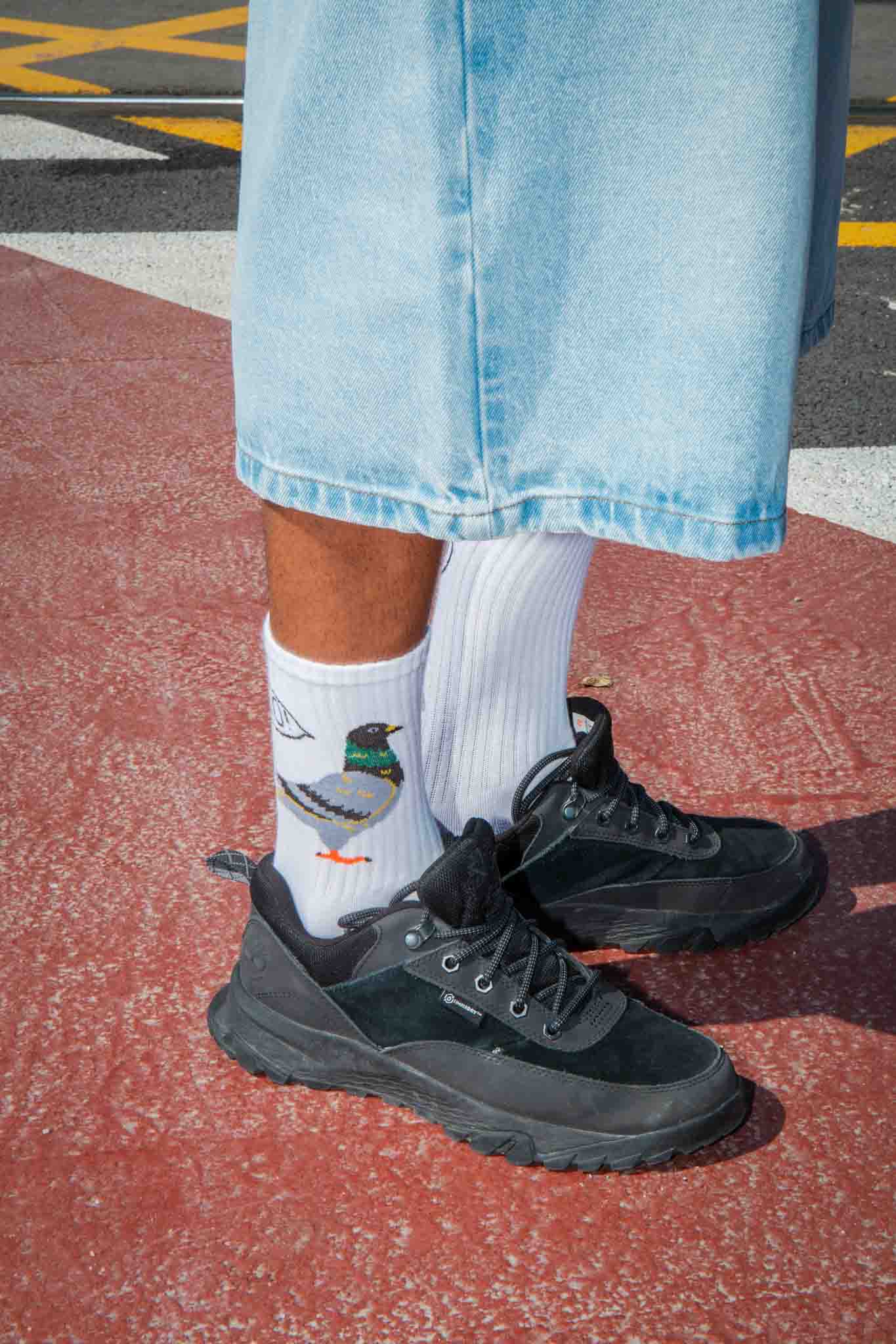 Socks Dove – Eat My Socks