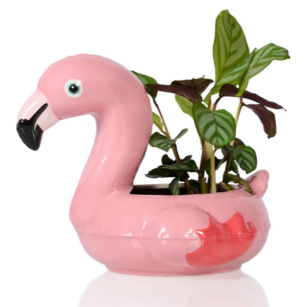 Pot Floaty Flamingo - Bitten
