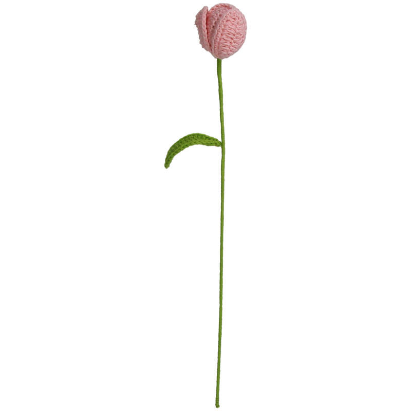 Flower tulip peach