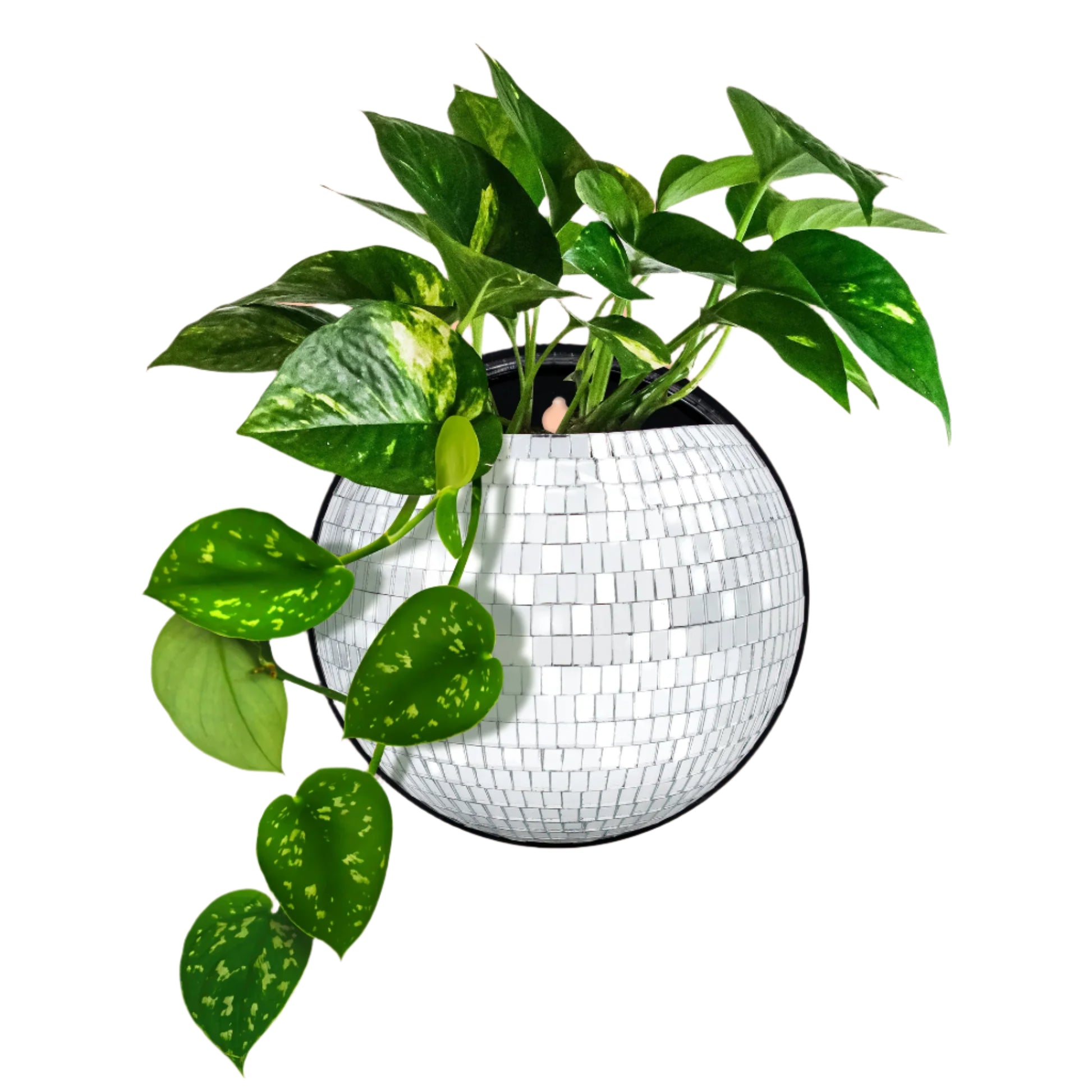 Topf Magnetische Disco - NPW