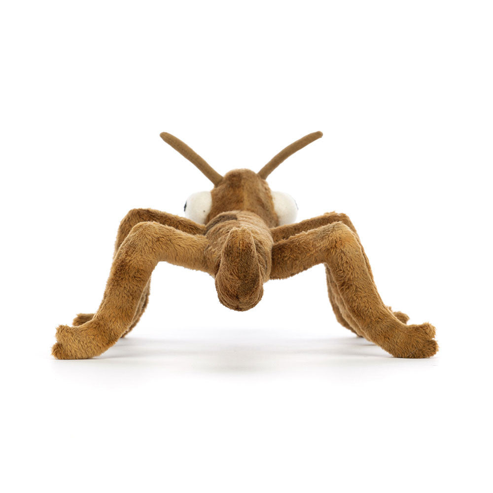 Knuffel Stanley Stick Insect - Jellycat