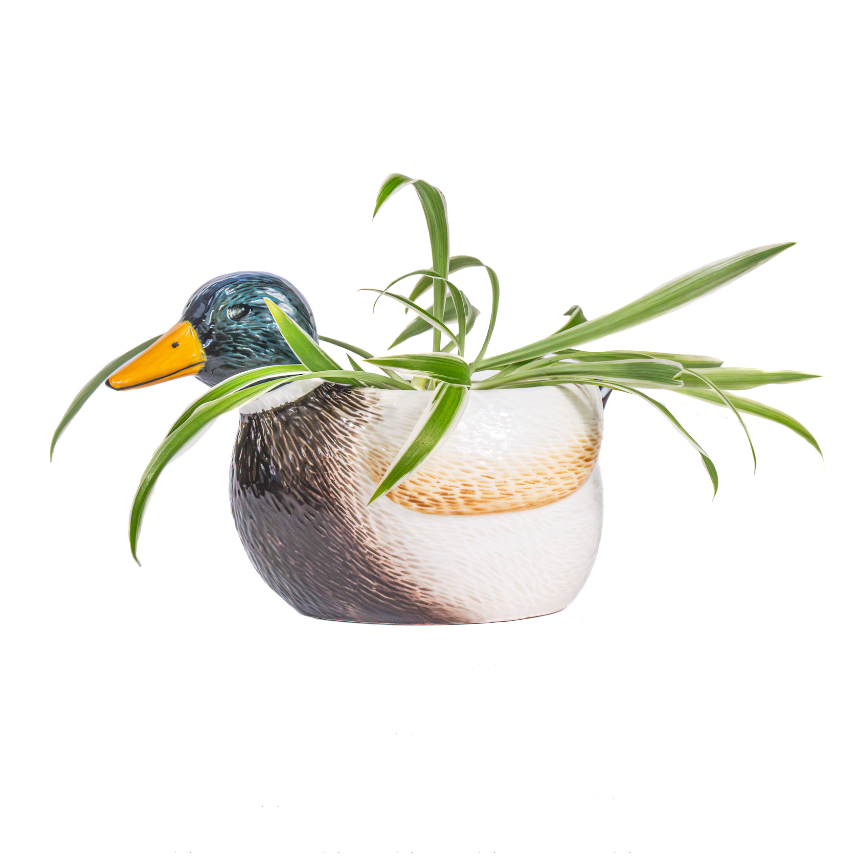 Duck Pot - Sass & Belle