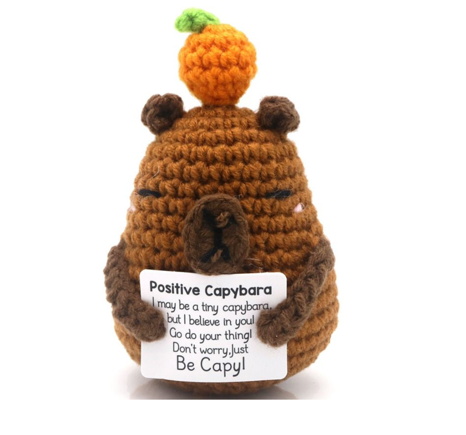 Geluksknuffeltje Positive Capybara