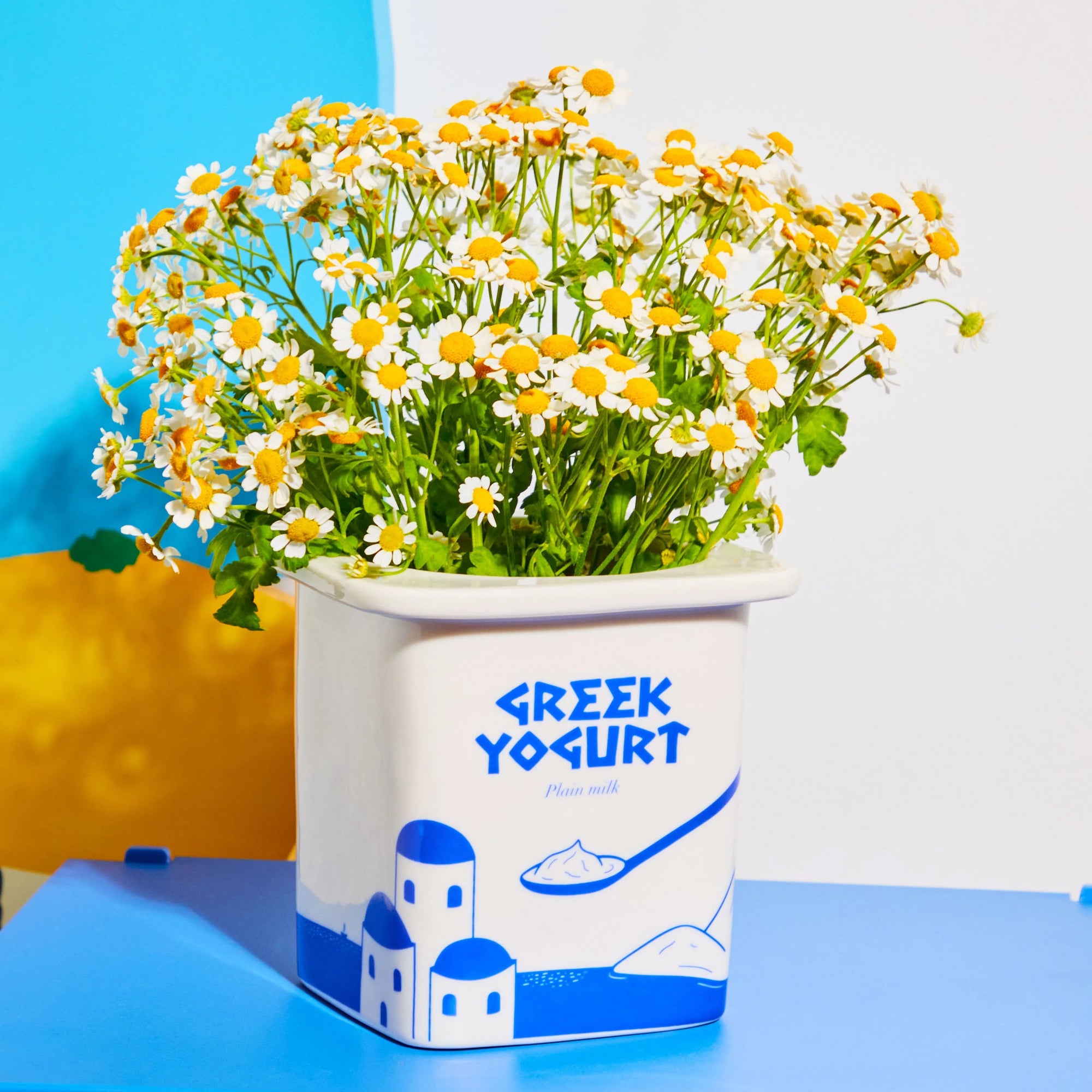 Vaas Griekse Yoghurt – Fluid