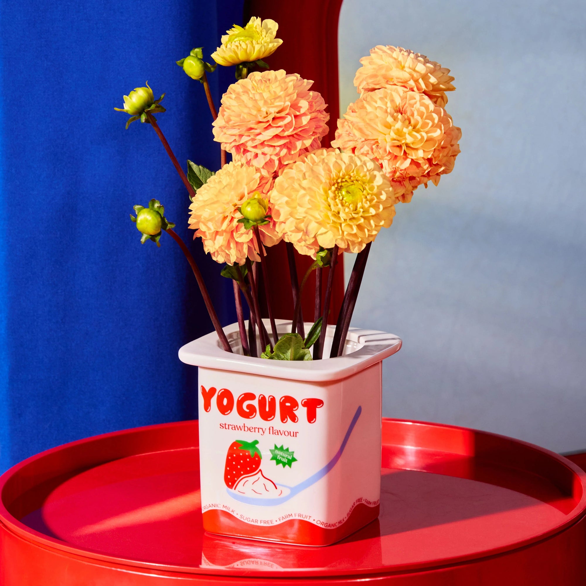 Vaas Aardbeienyoghurt – Fluid