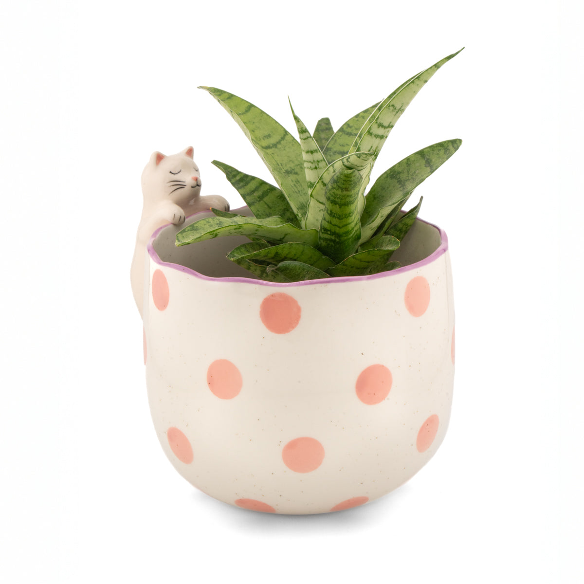 Plantenpot Glurende Kat - Sass & Belle