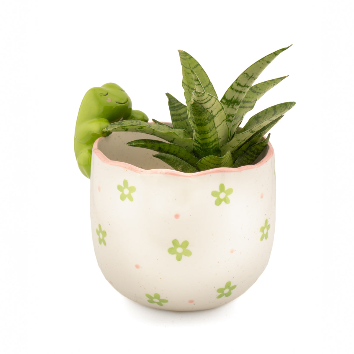 Plantenpot Glurende Kikker - Sass & Belle