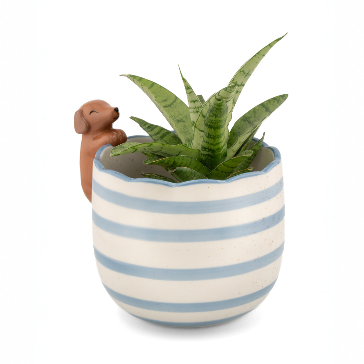 Plant Pot Peeking Dachshund - Sass &amp; Belle