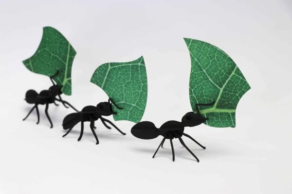 Paper Ants - Assembli