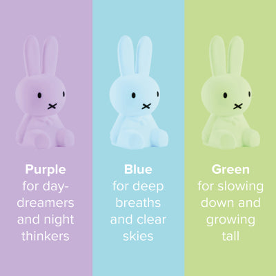 Lampje Nijntje Colourful Surprise Blind Box - Mr. Maria