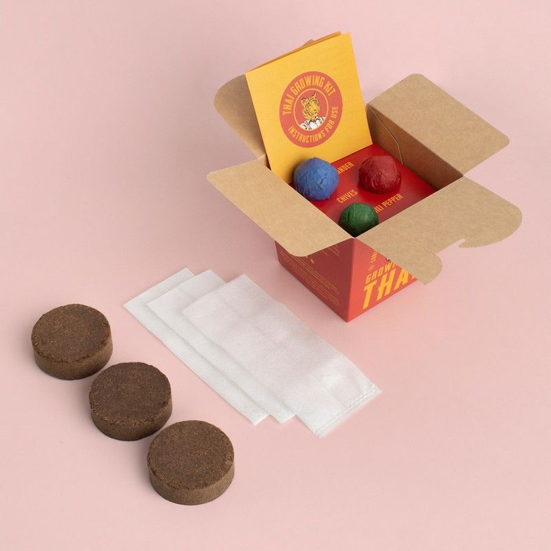 Kweekset Thaise Keuken