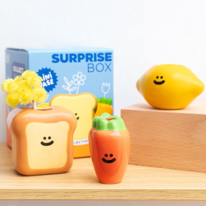 Mini Vaas Suprise Box - Fluid